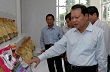 Tái cơ cấu nông nghiệp cần bảo đảm tính hiệu quả
